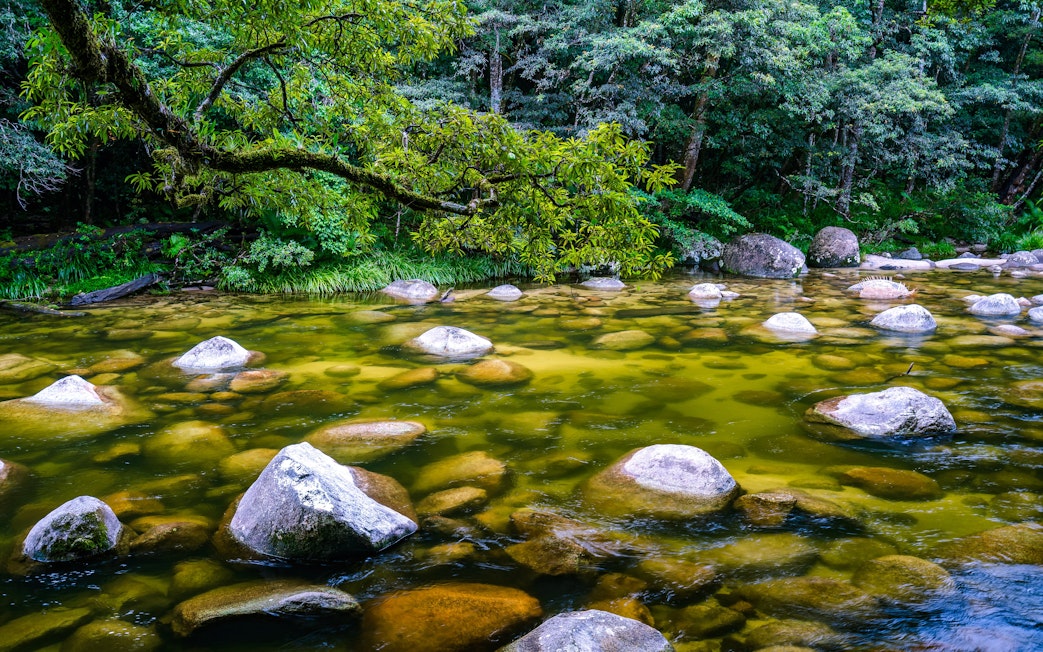 Wet tropics forest stream with rocks in Mossman Gorge, Australia.