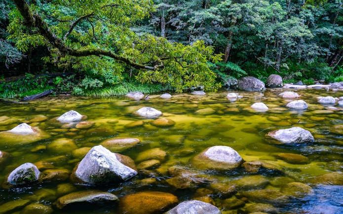 Wet tropics forest stream with rocks in Mossman Gorge, Australia.