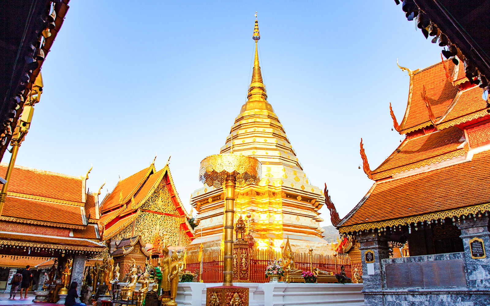 Golden stupa at Wat Phra That Doi Suthep in Chiang Mai, Thailand, surrounded by ornate temple structures.