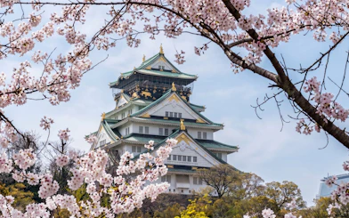Osaka Castle 3 hours Historical Walking Tour