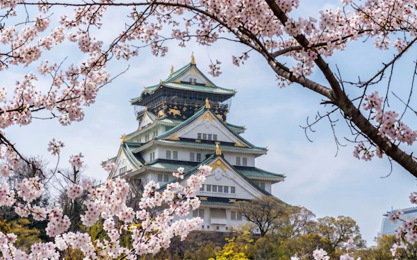 Osaka Castle 3 hours Historical Walking Tour