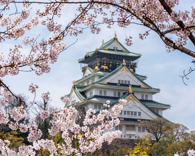 Osaka Castle 3 hours Historical Walking Tour