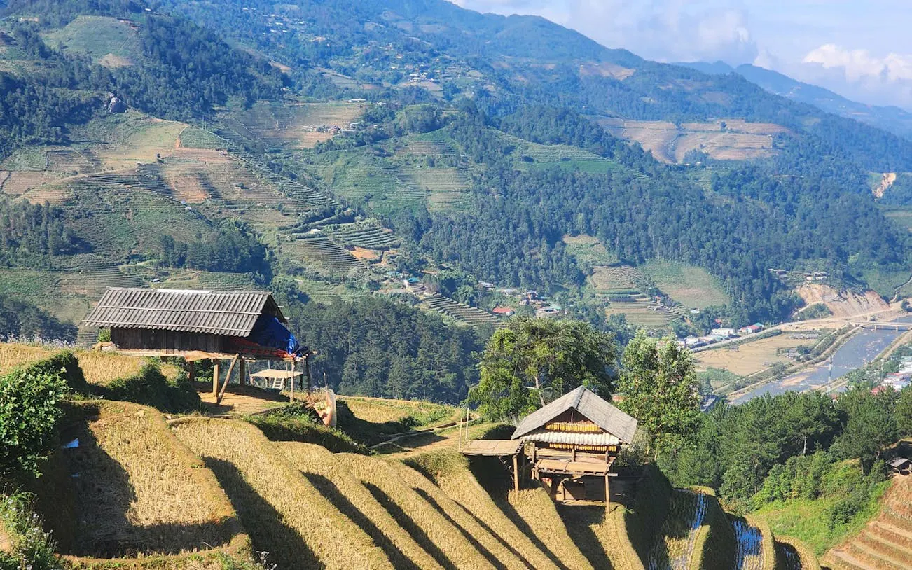 Terraced rice fields and wooden huts in Sapa, Vietnam, with mountain backdrop.
