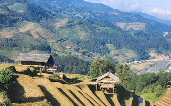 Terraced rice fields and wooden huts in Sapa, Vietnam, with mountain backdrop.