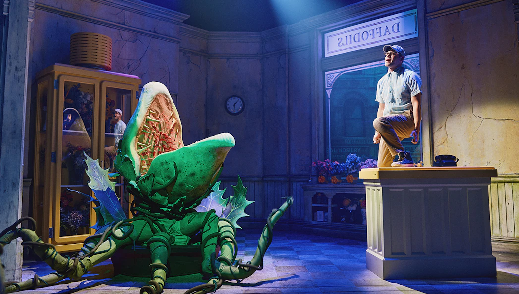 Man standing on counter next to large plant puppet in "Little Shop of Horrors" stage set.