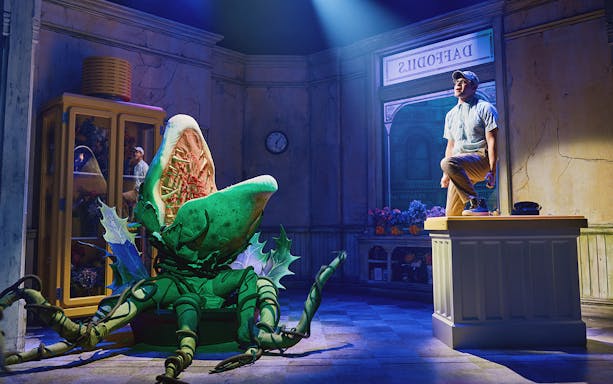Man standing on counter next to large plant puppet in "Little Shop of Horrors" stage set.