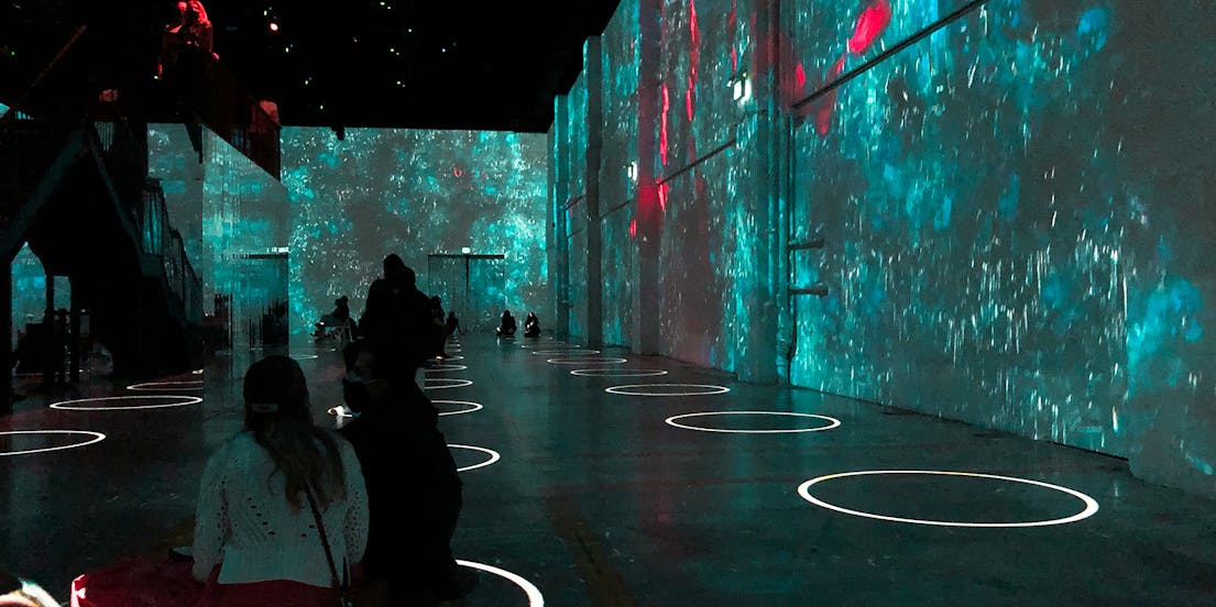 Van Gogh : l'expérience immersive