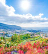 Pico dos Barcelos Bakış Açısı