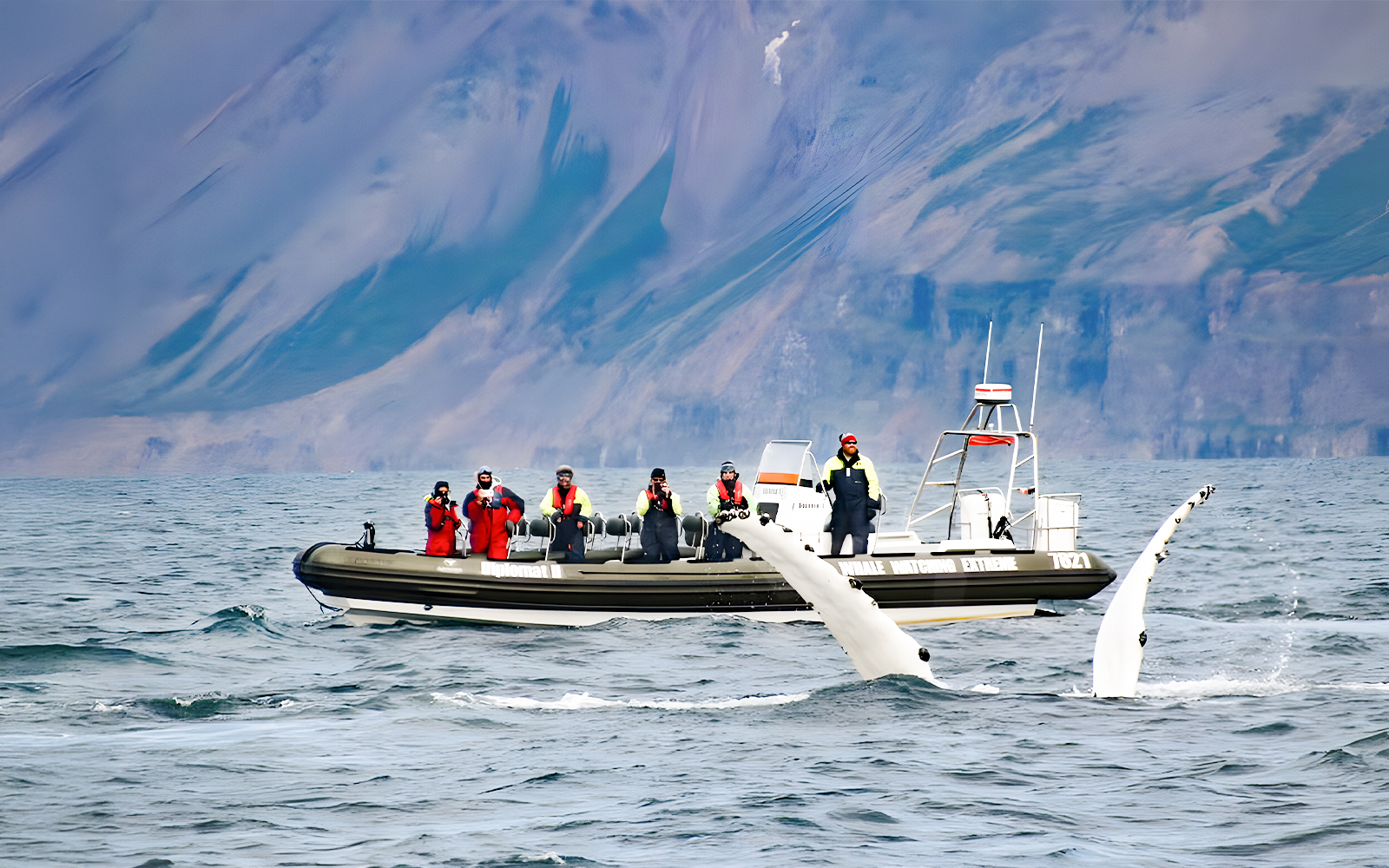 Guests whale watching on RIB speedboat in Akureyri with whale tail visible.