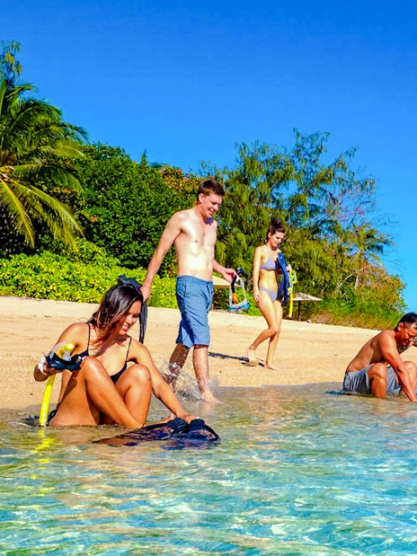 Snorkelers preparing on Low Isles beach, Port Douglas cruise.
