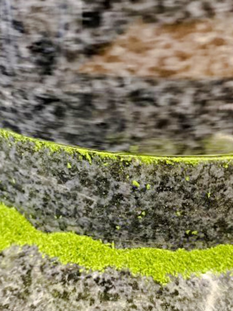 uji, kyoto: tea museum entry with a matcha grind & brew experience-4