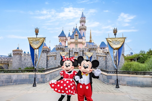 Biglietti per Disneyland California per 1 giorno