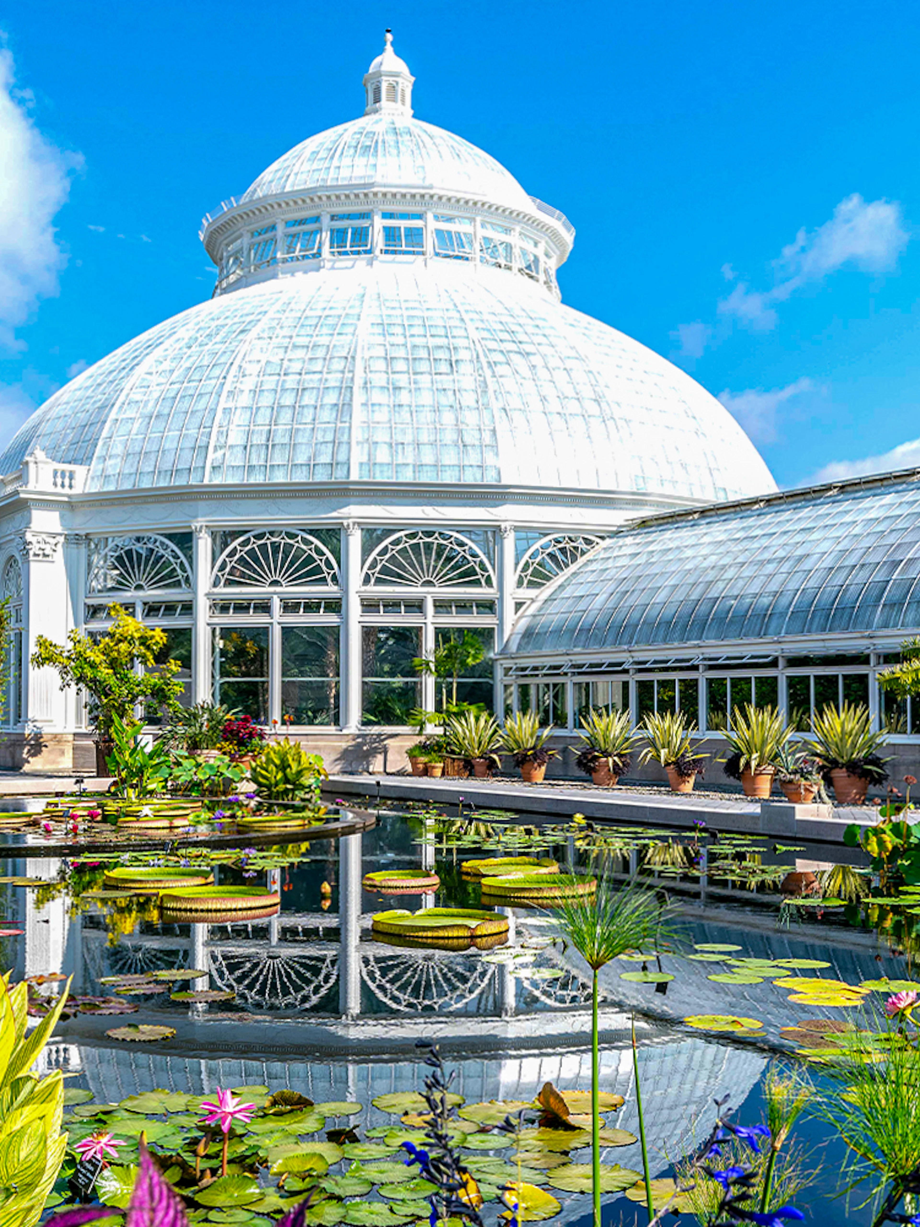 Enid A Haupt Conservatory at New York Botanical Garden with tropical plants and glass dome.