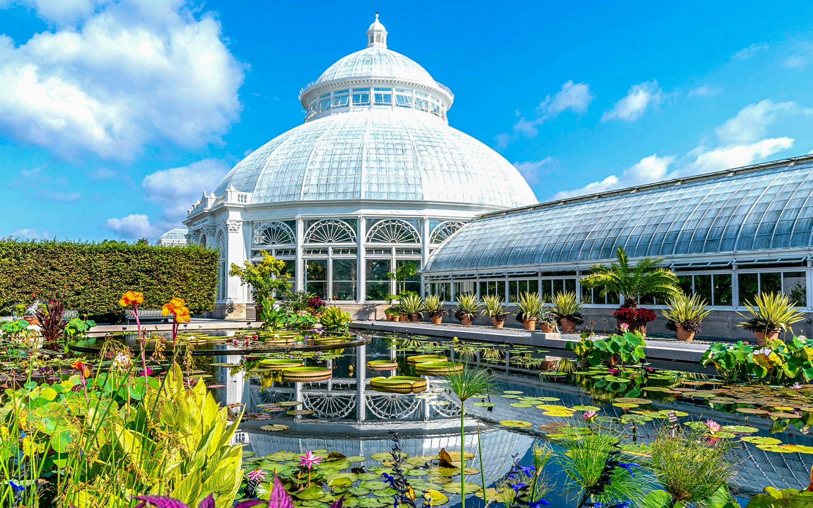 Enid A Haupt Conservatory, New York Botanical Garden, featuring tropical plants and iconic glass dome.
