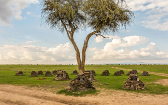 Rhino memorial stones under a tree at Ol Pejeta Conservancy, Nairobi, Kenya.