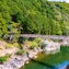 Hozu Gorge (Hozukyo Gorge)