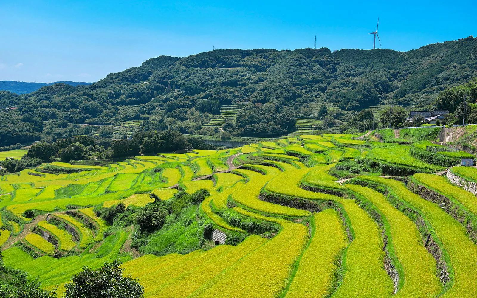 Oura Rice Terraces in Saga Prefecture with lush green fields and distant hills.