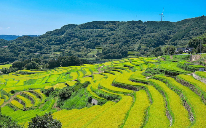 Oura Rice Terraces in Saga Prefecture with lush green fields and distant hills.