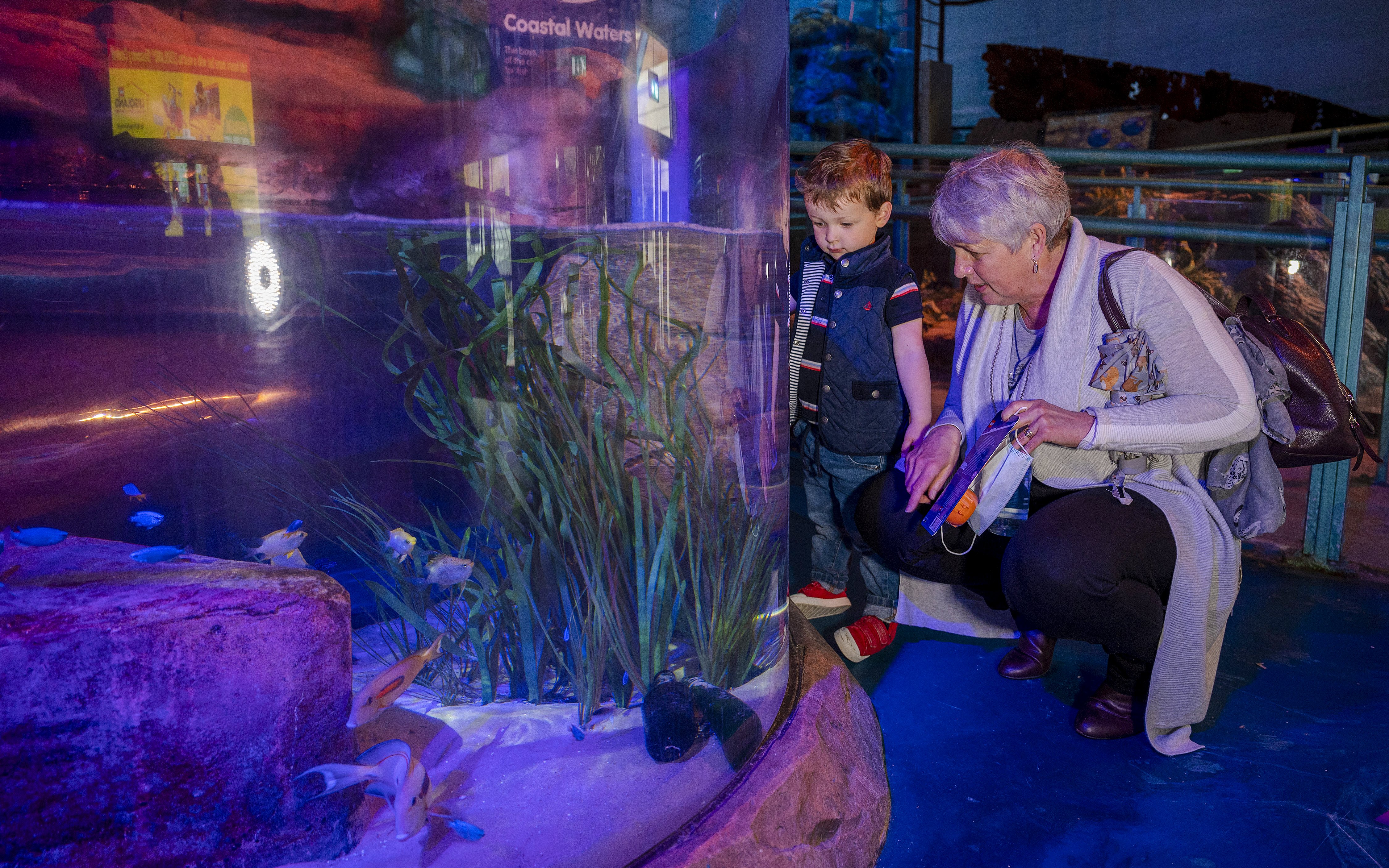 Guests observing fish in a tank at SEA LIFE Birmingham.
