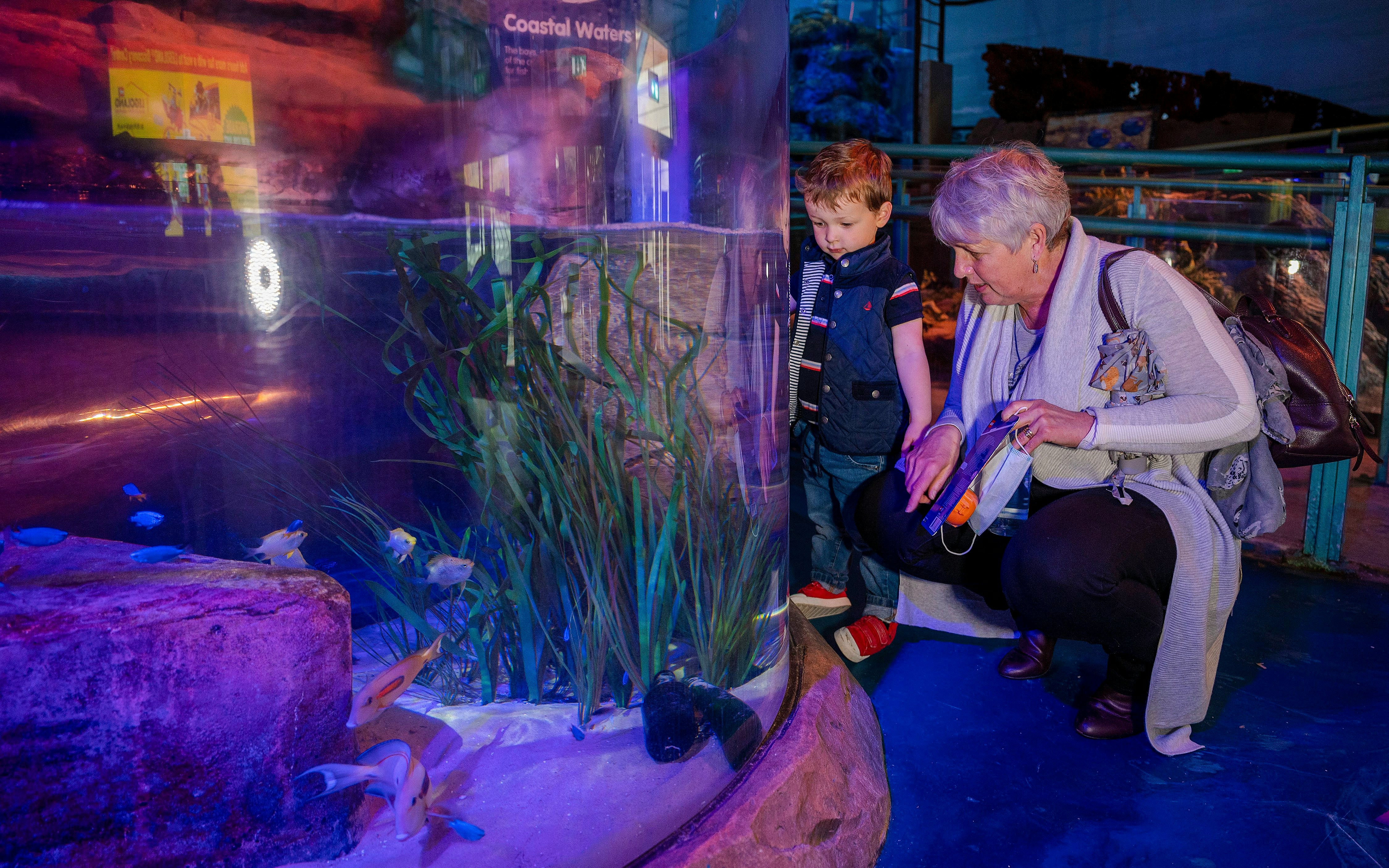 Guests observing fish in a tank at SEA LIFE Birmingham.