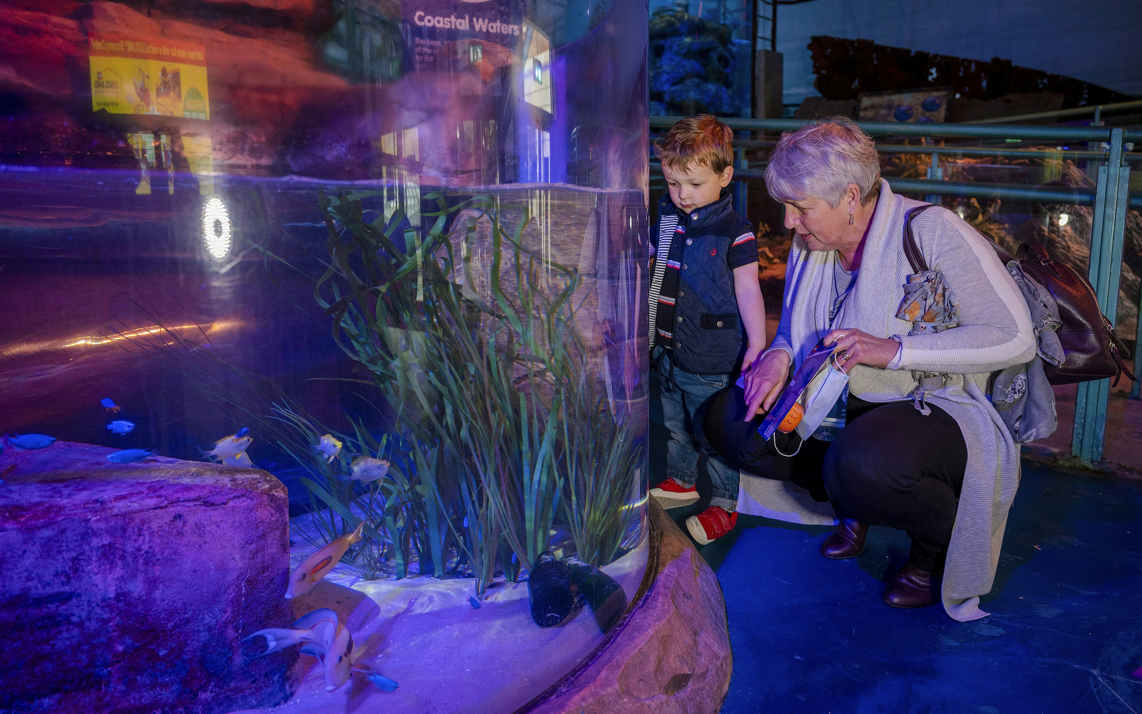 Guests observing fish in a tank at SEA LIFE Birmingham.