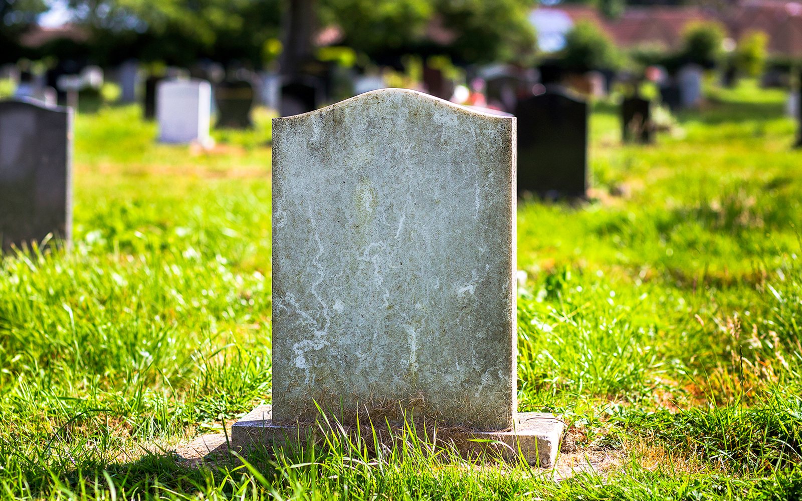Gravestone in a sunlit cemetery with green grass and distant headstones.