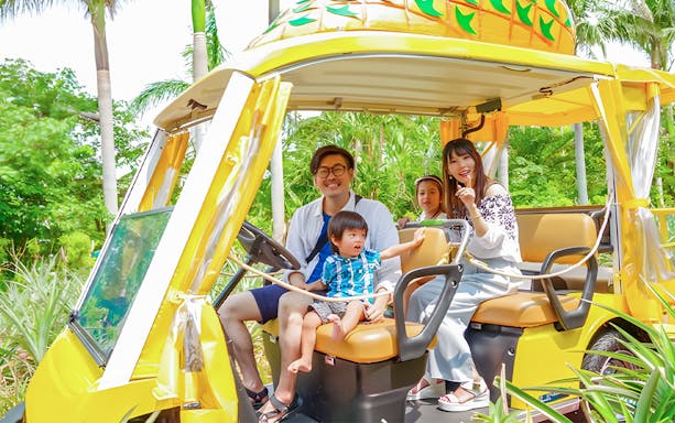 Family enjoying a pineapple cart ride at Nago Pineapple Park.
