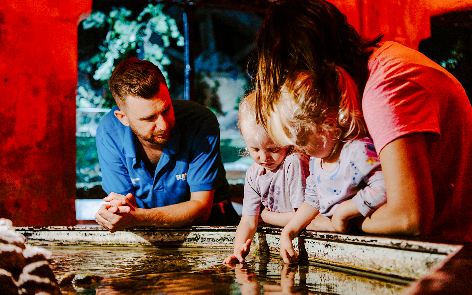 Guests exploring touch pool at SEA Life Brighton.