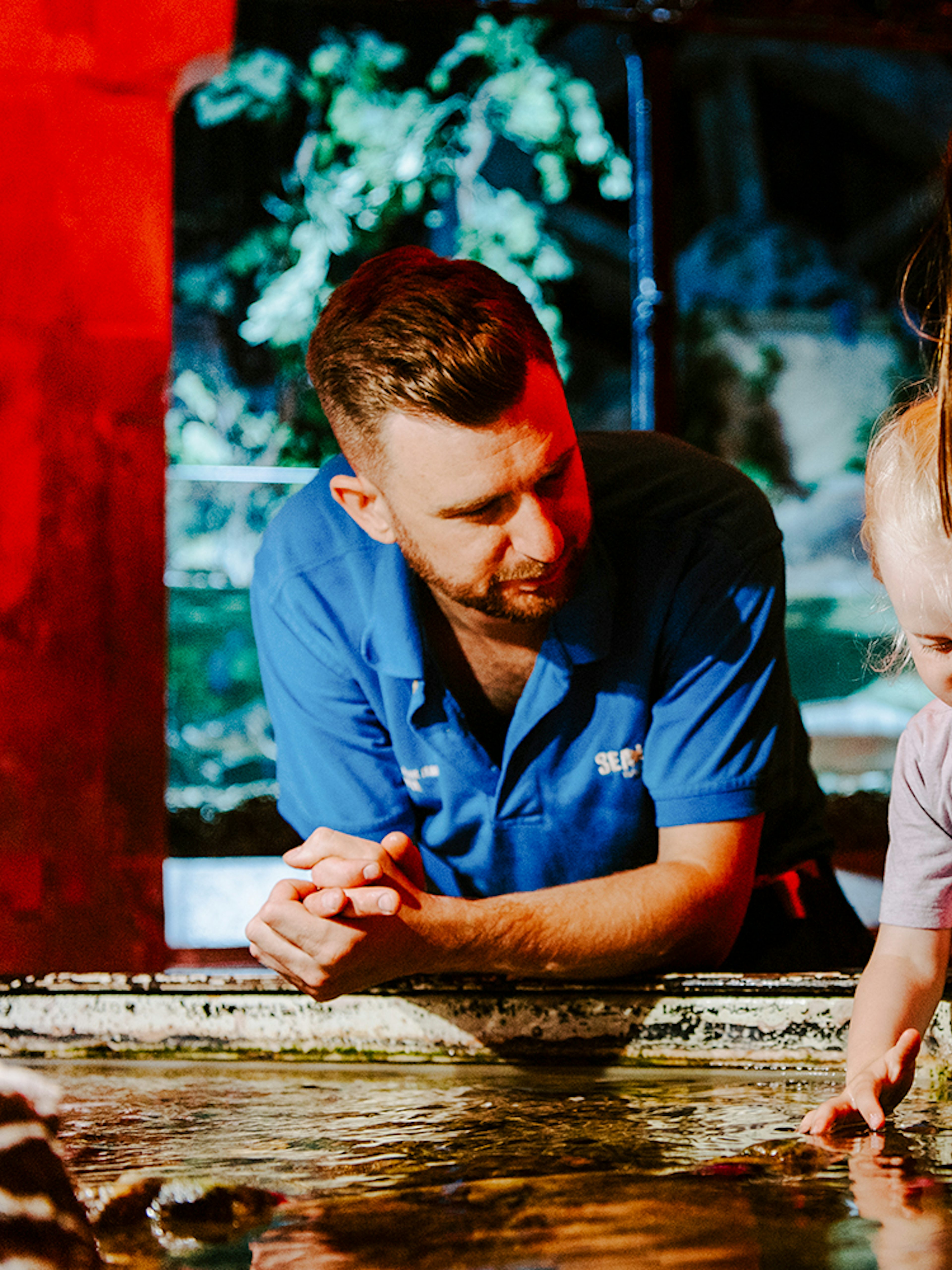 Guests exploring touch pool at SEA Life Brighton.