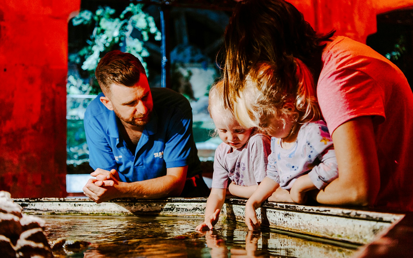 Guests exploring touch pool at SEA Life Brighton.