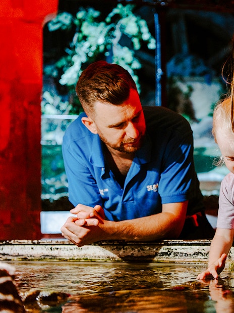 Guests exploring touch pool at SEA Life Brighton.