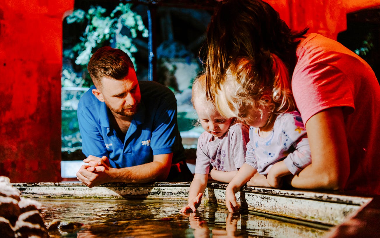 Guests exploring touch pool at SEA Life Brighton.