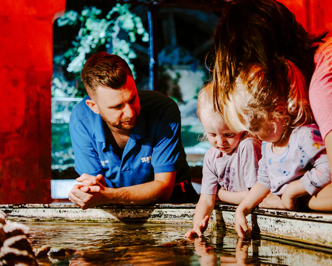 SEA LIFE Brighton: Deluxe Anytime Package
