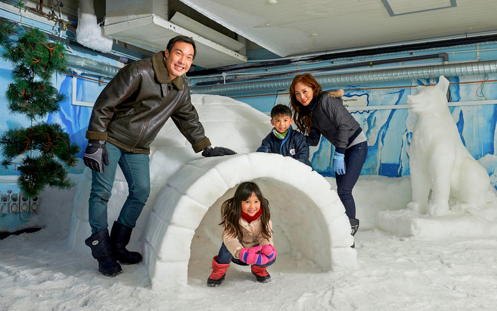 Book Science Centre Singapore Tickets