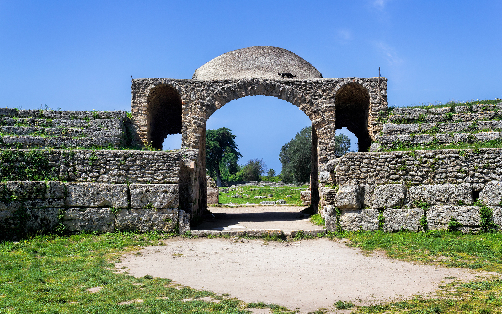 Paestum Amphitheatre