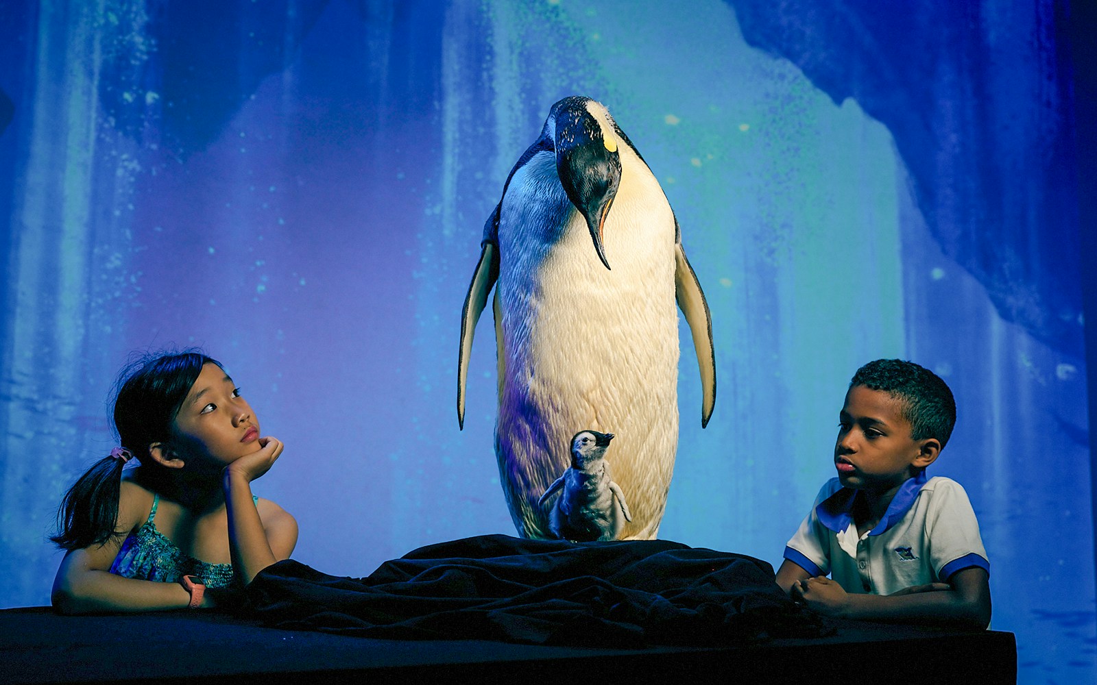 Children observing penguin display at Melbourne Museum.