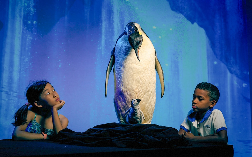 Children observing penguin display at Melbourne Museum.