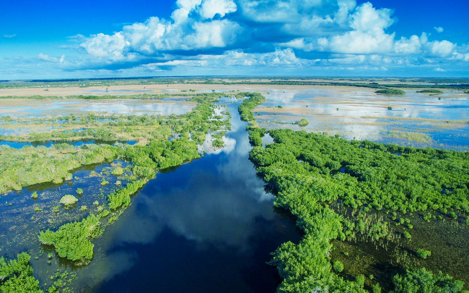 Wetlands in Everglades