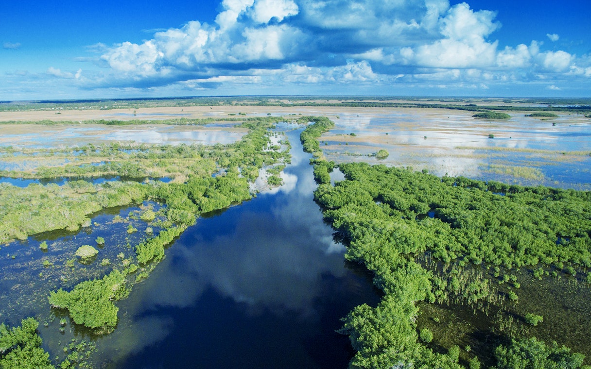 Everglades aerial view with waterways and lush greenery, Miami airboat tour.
