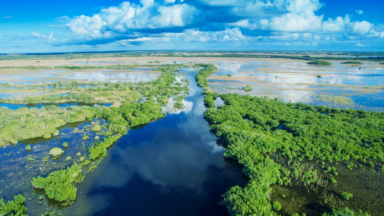 Everglades aerial view with waterways and lush greenery, Miami airboat tour.