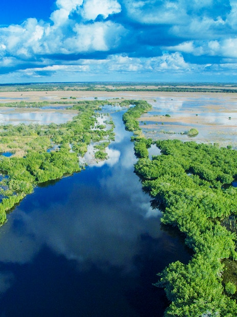 Everglades aerial view with waterways and lush greenery, Miami airboat tour.
