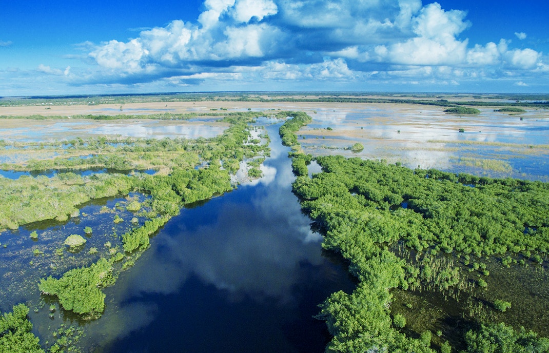 Everglades aerial view with waterways and lush greenery, Miami airboat tour.