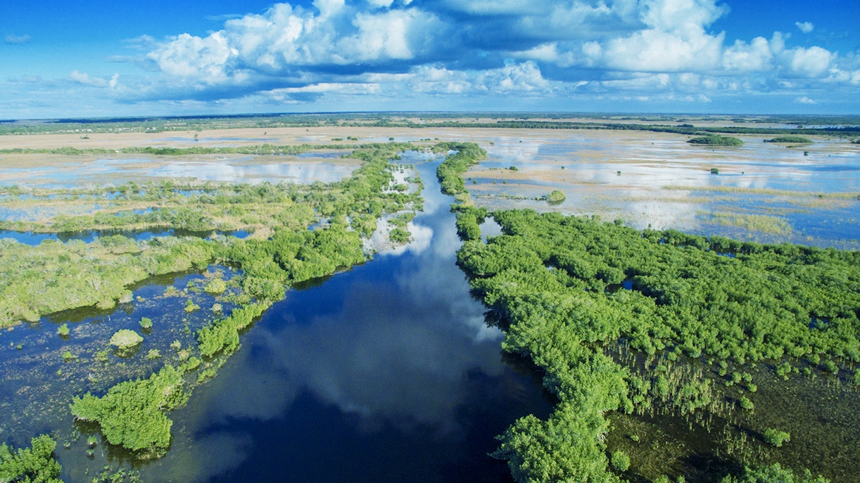 Everglades aerial view with waterways and lush greenery, Miami airboat tour.