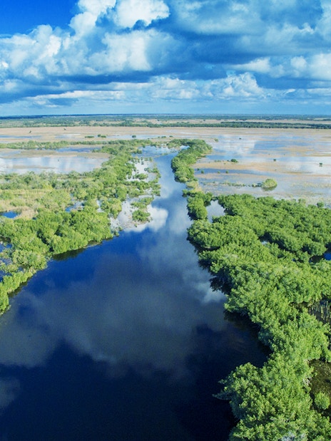 Everglades aerial view with waterways and lush greenery, Miami airboat tour.