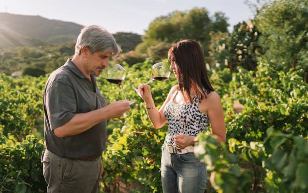 gallura winery guided tour with local wine tasting and sardinian appetizers in olbia-3
