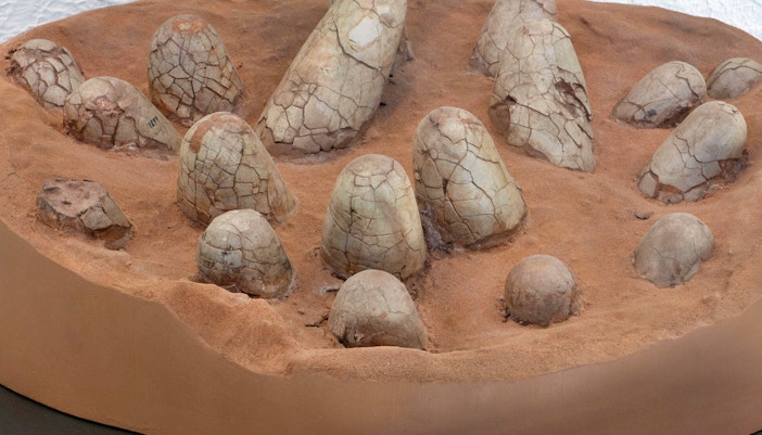 American Museum of Natural History