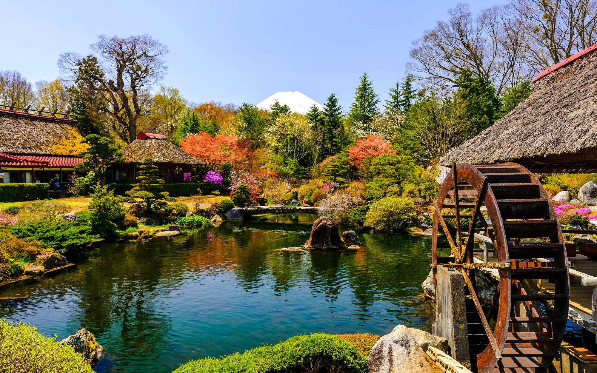 Traditional Japanese garden with waterwheel, vibrant foliage, and Mt. Fuji in the background at Lake Kawaguchiko.