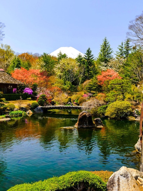 Traditional Japanese garden with waterwheel, vibrant foliage, and Mt. Fuji in the background at Lake Kawaguchiko.