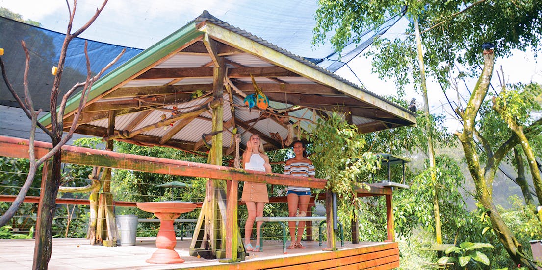 Birdworld Kuranda