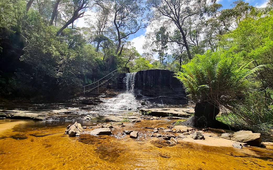 Wentworth Falls cascading over rocks surrounded by lush greenery in Blue Mountains.